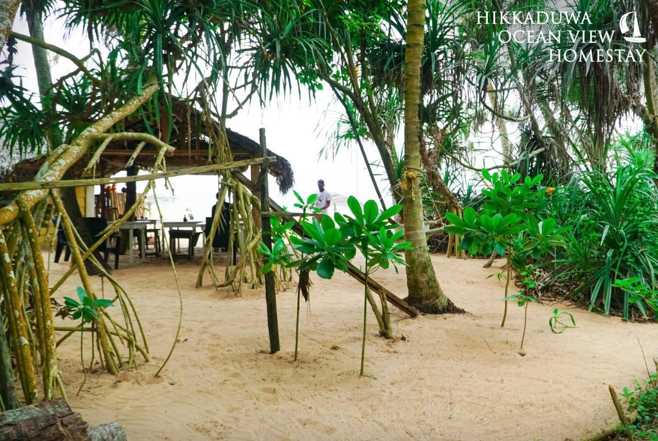 Hikkaduwa Ocean View Homestay المظهر الخارجي الصورة