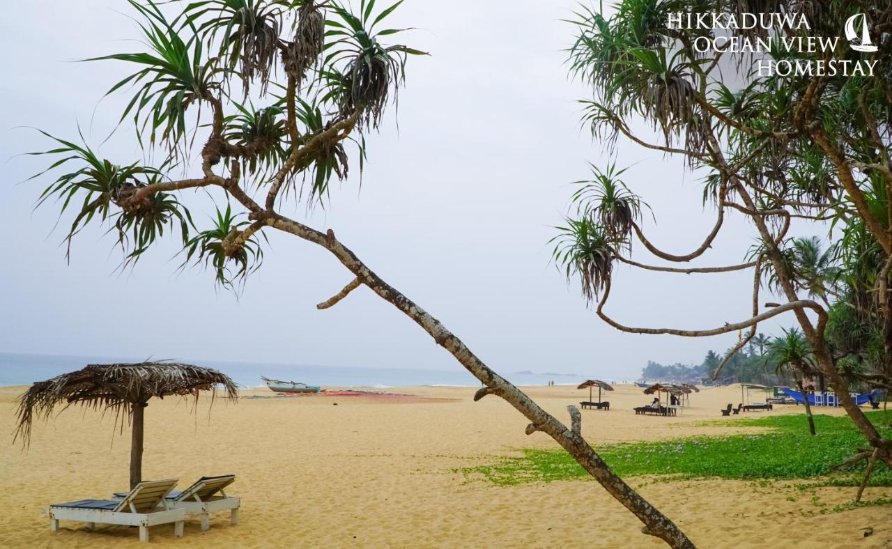 Hikkaduwa Ocean View Homestay المظهر الخارجي الصورة